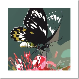 Photography : Butterfly Portrait Posters and Art